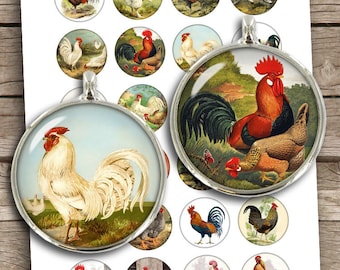 Poultry Hens and Roosters 20mm  25mm 1.5" 1" 30mm Circle Images for Cabochons, Bottle caps, Pendants Digital Collage Sheet Instant Download