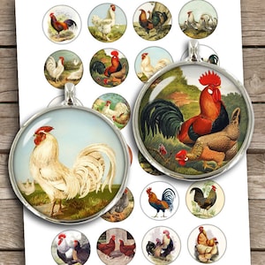 Poultry Hens and Roosters 20mm  25mm 1.5&quot; 1&quot; 30mm Circle Images for Cabochons, Bottle caps, Pendants Digital Collage Sheet Instant Download