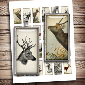 Woodland animals 1x2 inch Printable Rectangle Domino Images Deer Moose Digital Collage Sheet - Instant Download