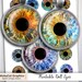 Printable Dolls Eyes 10mm 12mm 14mm 16mm 18mm Round Images Eye - Etsy