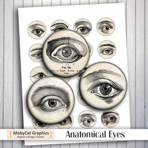 Puede incluir: Una hoja de collage digital con 12 ilustraciones vintage de ojos anatómicos. La hoja se titula "Anatomical Eyes" e incluye el texto "Fig. 30. EYE.-1. Pupil. 2. Iris. 3. Bo Coat."