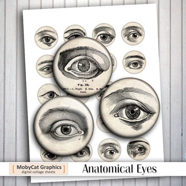 Anatomical Eyes 20mm 1.5" 25mm 1" Medical Eye Anatomy Digital Collage Sheet Printable Circle Bottle cap images Cabochon