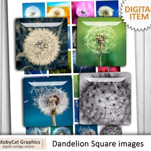 Dandelion- Digital Collage Sheet 1 inch, 1.5 inch Square Images Printable Images for Pendants - Instant download