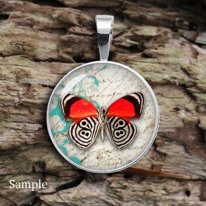 May include: A silver pendant with a round glass cabochon featuring a red and black butterfly on a vintage background with turquoise accents.