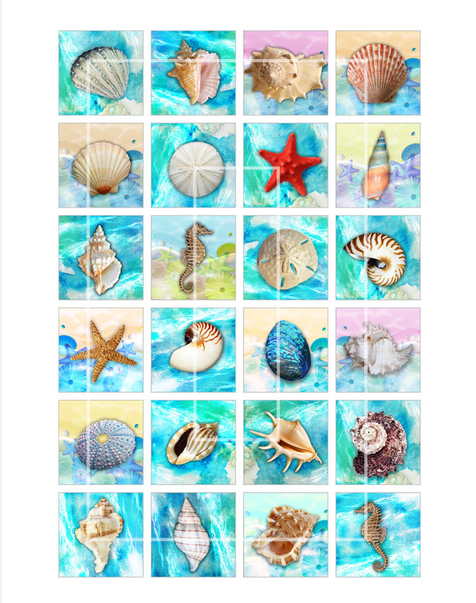 Seashells Square Images 1x1 Inch 1.5x1.5 Inch Shells Printable Images ...