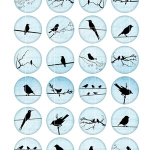 May include: Twenty-four blue circles with a white background and black silhouettes of birds on branches and wires. The circles have a vintage, handwritten look.