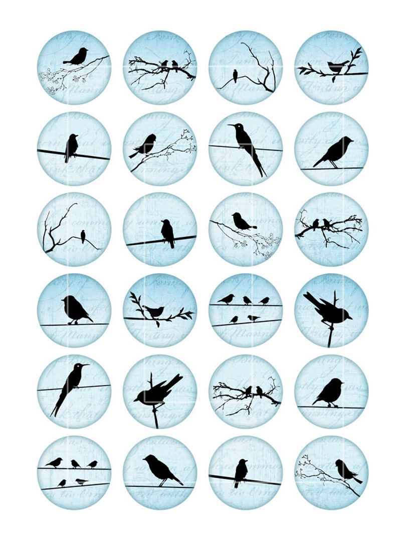 May include: Twenty-four blue circles with a white background and black silhouettes of birds on branches and wires. The circles have a vintage, handwritten look.