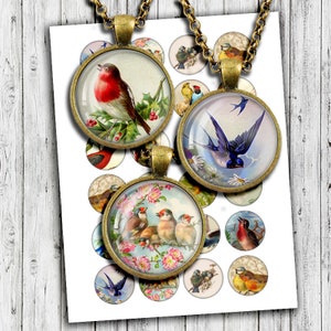 "Digitale Collage Collage ""Vintage Vögel"" 3,25 Zoll 1,5 Zoll 1 Zoll 25 mm Kreis Bilder für Kronkorken, Anhänger, Vintage-Vögel, Postkarten."