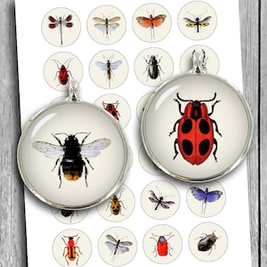 Vintage Insects and Bugs 1 inch 25mm 20mm 1.313 inch 1.5&quot; Printable Pendant images  Digital Collage Sheet - Instant Download