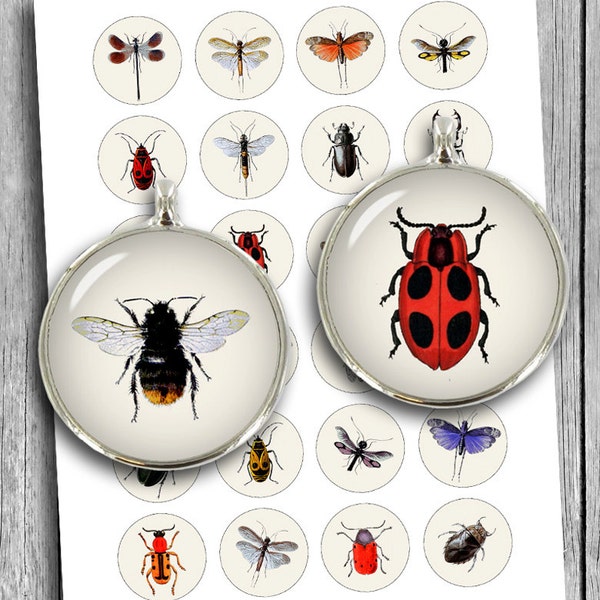 vintage Insectes et insectes 1 pouce 25mm 20mm 1.313 pouces 1.5 » Printable Pendentif images Digital Collage Sheet - Instant Download
