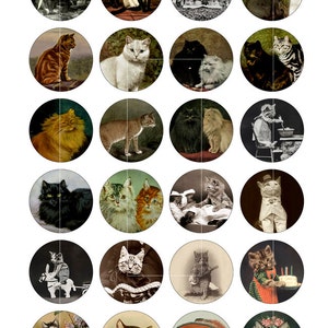 K&ouml;nnte beinhalten: Eine Sammlung von 20 Vintage-Illustrationen von Katzen in verschiedenen Posen und Umgebungen. Die Illustrationen sind in einem runden Format gehalten und zeigen Katzen in verschiedenen Farben und Mustern, darunter Schwarz, Wei&szlig;, Braun und Tabby.