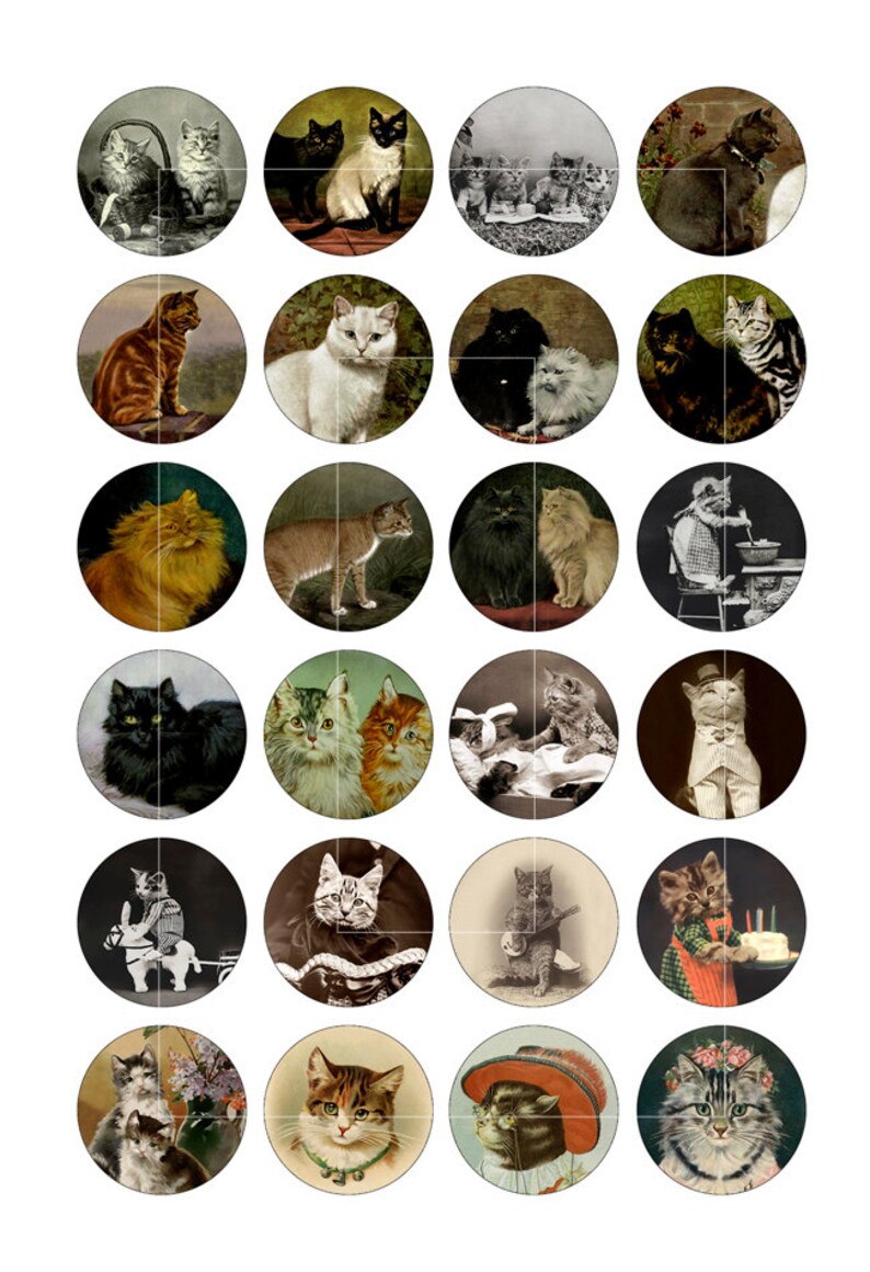 K&ouml;nnte beinhalten: Eine Sammlung von 20 Vintage-Illustrationen von Katzen in verschiedenen Posen und Umgebungen. Die Illustrationen sind in einem runden Format gehalten und zeigen Katzen in verschiedenen Farben und Mustern, darunter Schwarz, Wei&szlig;, Braun und Tabby.