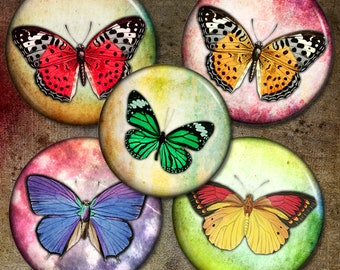 May include: Five round, colorful, decorative paper circles with a butterfly design. Each circle features a different butterfly with a unique color and pattern. The butterflies are red, orange, green, blue, and yellow.