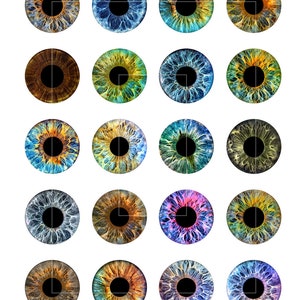 Printable Dolls Eyes 10mm 12mm 14mm 16mm 18mm Round Images Eye Pupils ...
