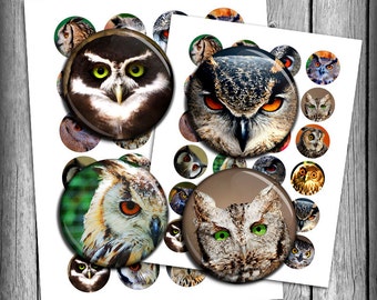 Owl Digital Collage Sheet: 1-inch & 1.5-inch Circles (Digital Download)