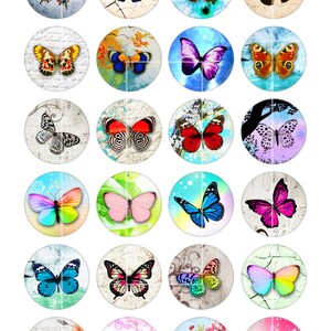 May include: Twenty-four round, colorful, decorative cabochons featuring various butterfly designs. Each cabochon has a different background pattern, including floral, vintage, and musical notes.