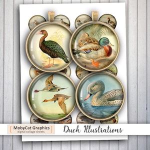 Duck old Illustrations 20mm 25mm 30mm 1 inch 1.5 inch  Printable Round Images for Pendants, Cabochons, Scrapbooking Digital Collage Sheets