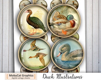 Duck old Illustrations 20mm 25mm 30mm 1 inch 1.5 inch  Printable Round Images for Pendants, Cabochons, Scrapbooking Digital Collage Sheets