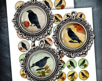 Black Raven - Digital Collage Sheets 1 inch, 1.5 inch, 35mm, 30mm for Bottle Caps, Pendants, Printable images - Instant Download