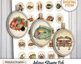 Antique Strange Fish Printable Ovals 30x40mm 22x30mm 13x18mm 18x25mm Digital Cabochon images Digital Collage Sheet