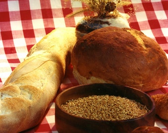 Bread and Grains Still Life