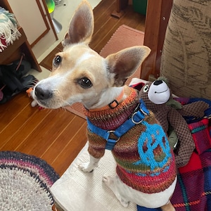 Knitting Pattern: Anarchy Dog Sweater, Small Dog