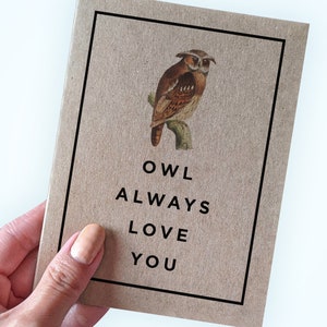 Carte d'anniversaire de jeu de mots hibou drôle - carte d'anniversaire de hibou toujours vous aime - carte de voeux A2 - carte kraft recyclée - pour mari ou petit ami