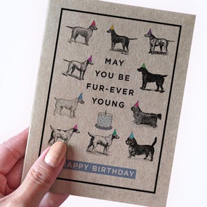 Carte d'anniversaire sur le thème chien - mai vous avez toujours de la fourrure, carte de joyeux anniversaire pour propriétaire de chien, carte d'anniversaire pour amoureux des chiens, carte d'anniversaire jeu de mots chien mignon