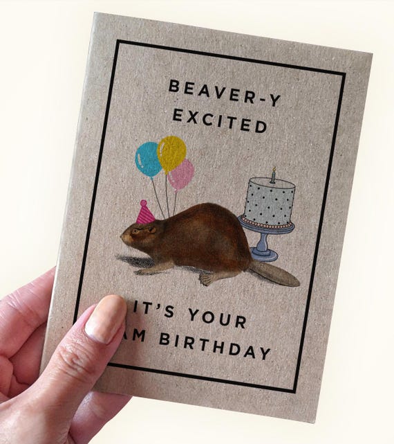 Funny Beaver Birthday Card - Bevear-y Excited - It's Your Birthday - Cute Animal Birthday Cards - A2 Size - Recycled Greeting Card
