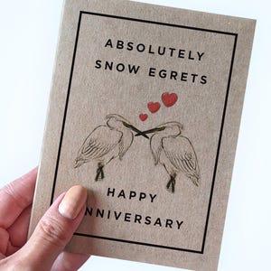 Jeu de mots drôle d'oiseau carte d'anniversaire pour mari, absolument aigrettes des neiges joyeux anniversaire carte mignonne pour petit ami, jeu de mots cartes d'anniversaire de mariage