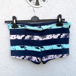 May include: Swim trunks with a dinosaur and palm tree pattern. The trunks feature alternating stripes of navy blue, light blue, and pale pink. The design includes silhouettes of dinosaurs, palm trees, and birds. The trunks are hanging on a black hanger.
