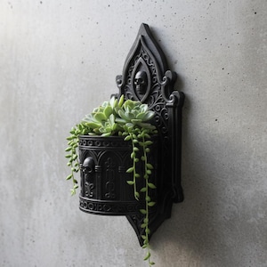 May include: Black wall-mounted planter with a gothic design, featuring a skull and ornate details. The planter holds green succulents with trailing stems, creating a striking contrast against the dark fixture. A unique piece for home decor.