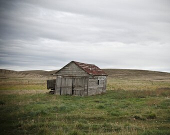 May include: A weathered wooden shed with a red roof sits in a grassy field under a cloudy sky.