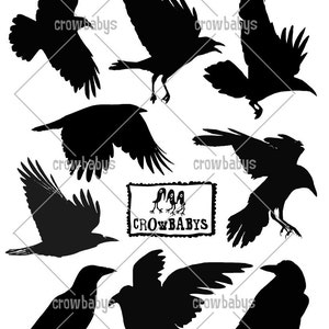 Set of 9 Crow Decals - Flying and Standing Black Bird Raven Silhouette Vinyl Wall or Stair Riser Stickers
