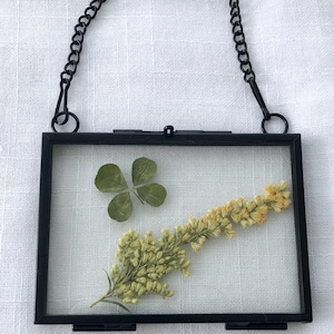 Könnte beinhalten: Rechteckiger, schwarzer Rahmen mit gepressten Blumen. Der Rahmen hat eine schwarze Kette zum Aufhängen. Im Inneren befinden sich ein vierblättriges Kleeblatt und eine gelb blühende Pflanze. Der Hintergrund ist weißer Stoff.