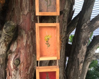 Pressed Wildflower Shadow Box Collage: Cottagecore Floral Wall Decor