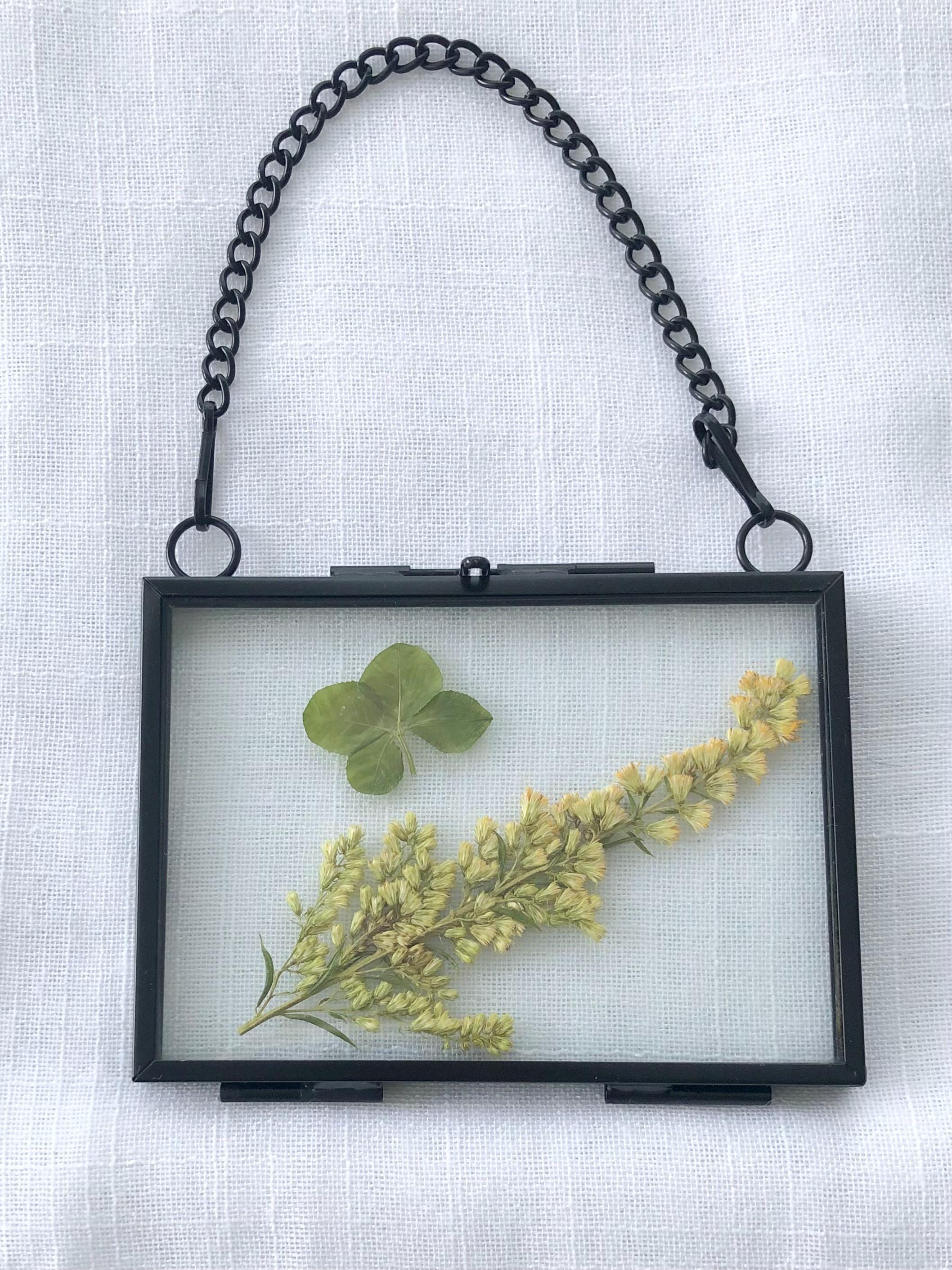 Four leaf clover in glass photo frame, pressed flower, shamrock, Irish charm