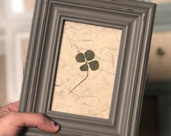 May include: A rectangular gray wooden frame with a distressed finish containing a pressed four-leaf clover centered on a piece of textured, off-white handmade paper with visible fiber inclusions, showcasing a natural botanical specimen.