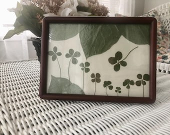 Framed Four Leaf Clover: Pressed Shamrock Good Luck Charm