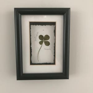 May include: A black rectangular frame containing a pressed four-leaf clover on white paper with a deckled edge. The text "anticipate" is written in cursive above the clover, and the word "miracle!" is written in cursive below the clover stem.