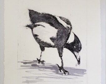 Magpie print. Collagraph print . Hand inked print. Limited edition art print.