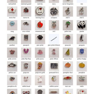 May include: A collection of 60 silver charm beads with various designs, including animals, objects, and words. The charms are arranged in a grid pattern on a white background.