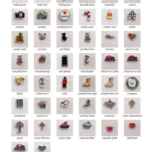 May include: A collection of small, silver-toned charms with various designs, including a camera, a cactus, a cat, a cross, and a cupcake. Each charm has a unique shape and color, perfect for jewelry making or crafting.