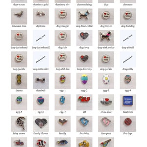 May include: A collection of silver charm beads with various designs, including animals, food, and holiday themes. The charms are arranged in a grid pattern on a white background.