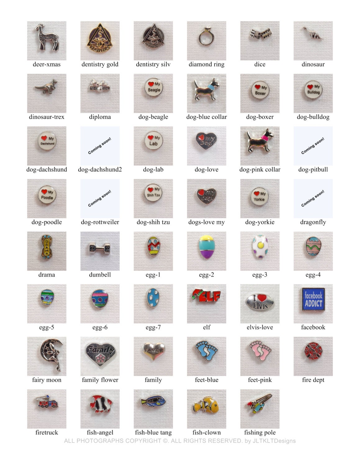 Floating Charms Defi for Floating Charm Lockets Etsy