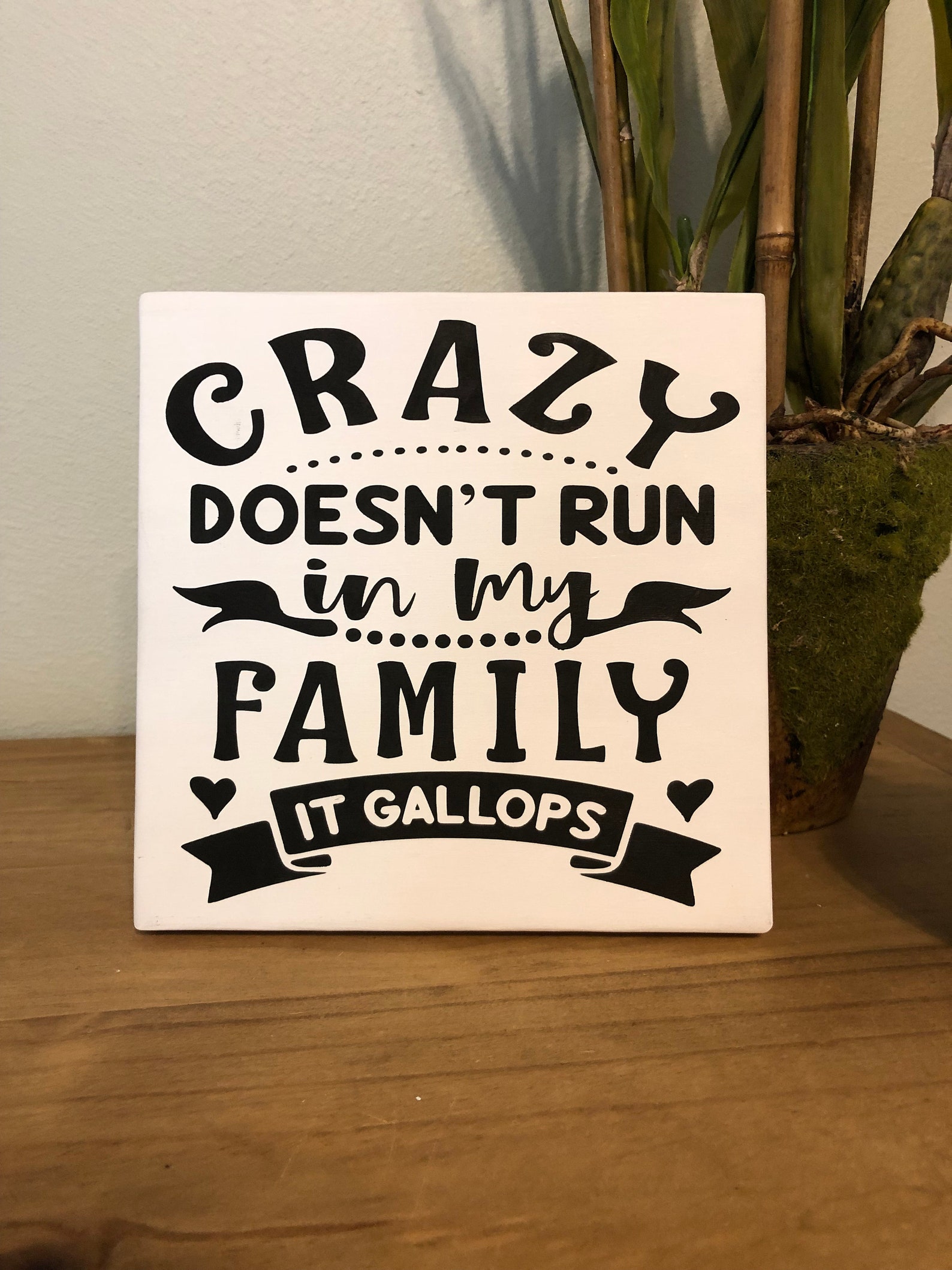 Crazy family / wooden sign / family sign / funny sign / humor | Etsy