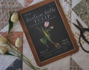 TULIP Heirloom Bulb Slate {spring, Summer, Home Decor}