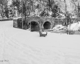 Tranquilo día de nieve en unidad prohibida - fotografía de Philadelphia - Fine Art Print