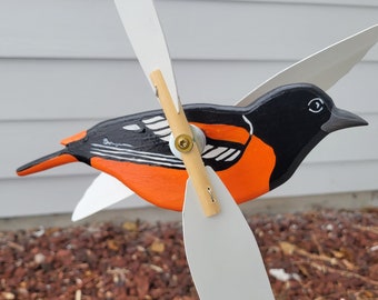 Baltimore Oriole