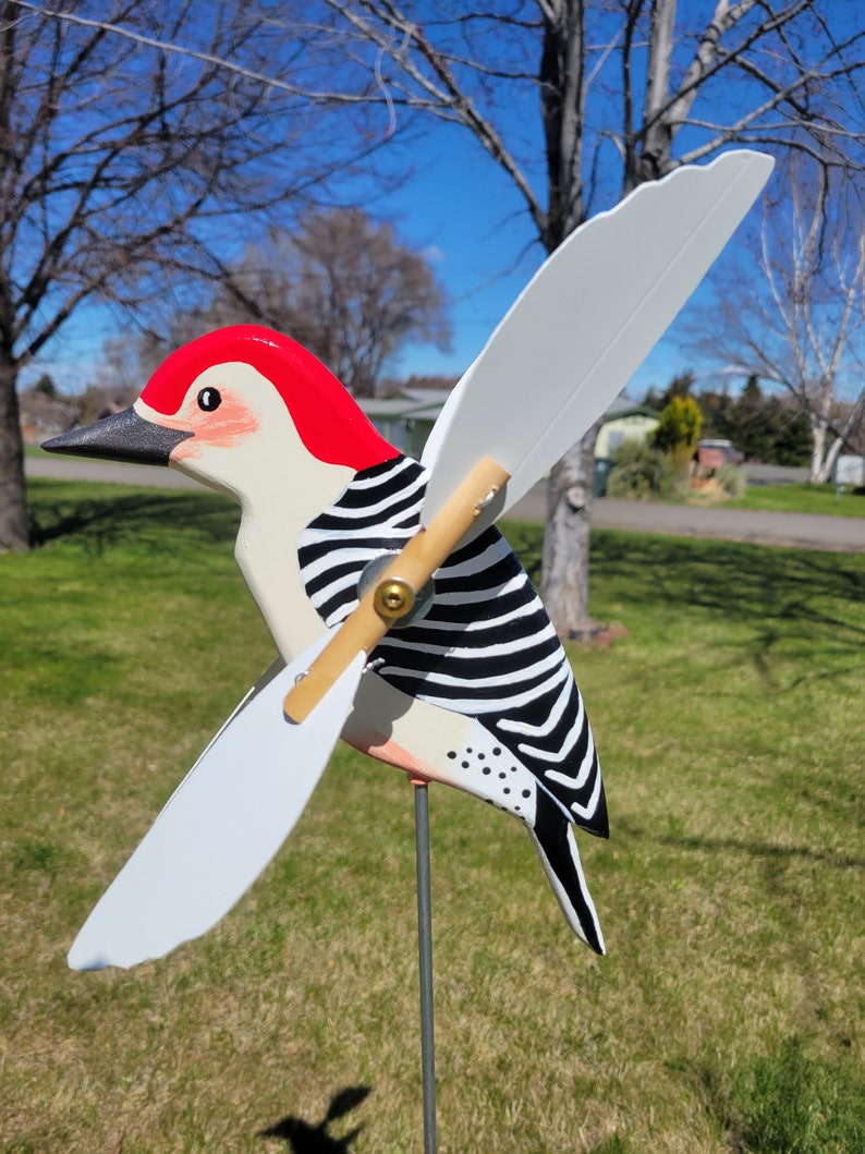 Red-Bellied Woodpecker Whirligig image 3